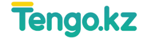 Tengo.kz logo